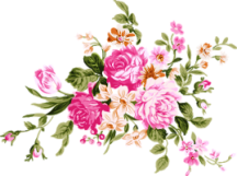 162597c0cd7d (216x161, 54Kb)